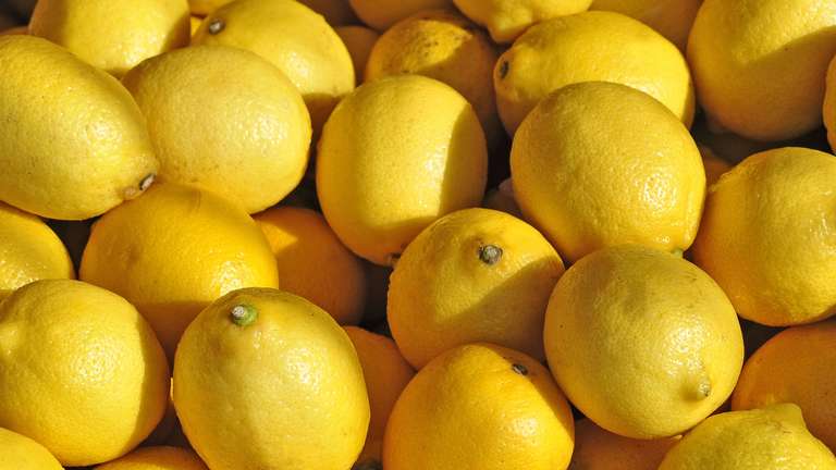 Limonları